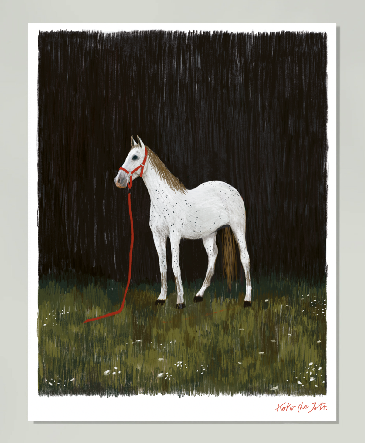 ANYONE'S HORSE" // FINE ART PRINT de caballo blanco con arnés rojo sobre fondo oscuro y césped verde